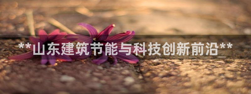 e尊国际可靠吗：**山东建筑节能与科技创新前沿**