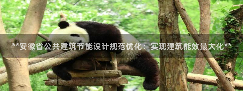 e尊国际可靠吗：**安徽省公共建筑节能设计规范优化：实现建筑能效最大化**