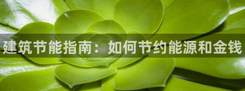 e尊官网：建筑节能指南：如何节约能源和金钱