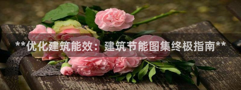 e尊国际是个黑网：**优化建筑能效：建筑节能图集终极指南**