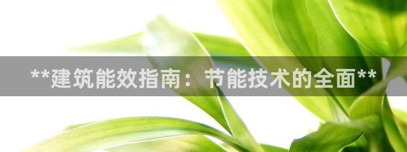 谁知道e尊国际的网址：**建筑能效指南：节能技术的全面**