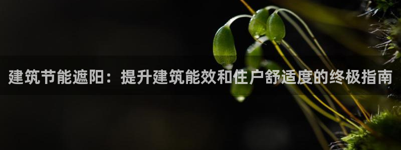 e尊国际地址：建筑节能遮阳：提升建筑能效和住户舒适度的终极指南