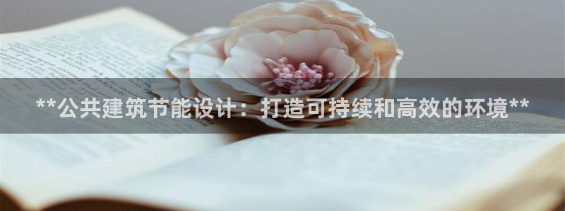 e尊国际平台：**公共建筑节能设计：打造可持续和高效的环境**