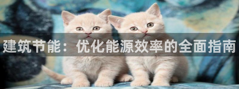 e尊平台：建筑节能：优化能源效率的全面指南