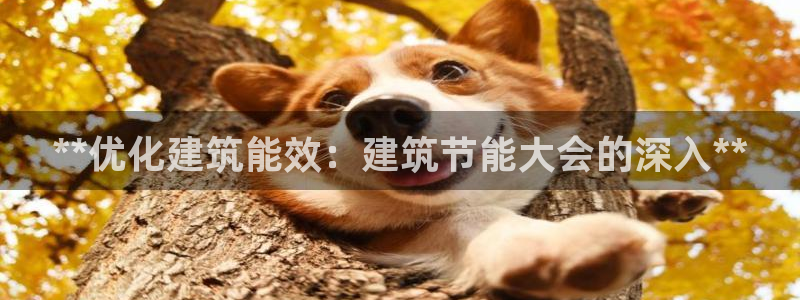 谁知道e尊国际的网址：**优化建筑能效：建筑节能大会的深入**
