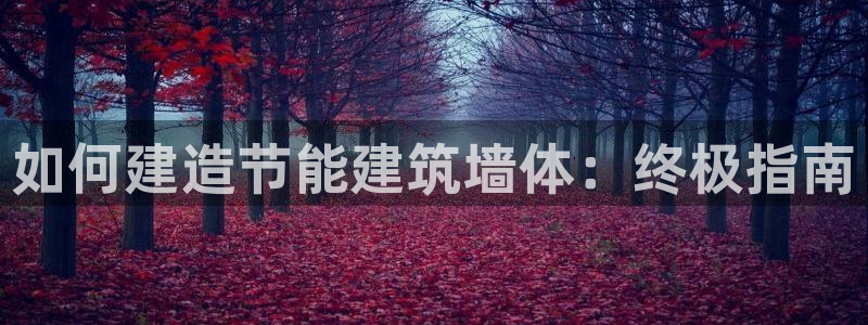 谁知道e尊国际的网址：如何建造节能建筑墙体：终极指南