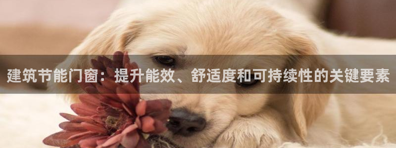 e尊国际客服：建筑节能门窗：提升能效、舒适度和可持续性的关键要素