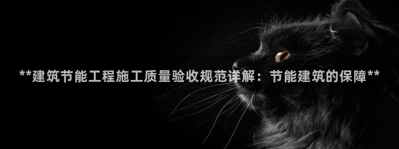 e尊国际娱乐官网地址：**建筑节能工程施工质量验收规范详解：节能建筑的保障**