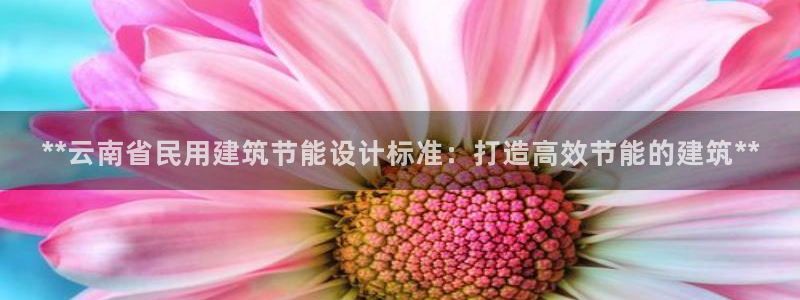 e尊国际的手机登录网站：**云南省民用建筑节能设计标准：打造高效节能的建筑**