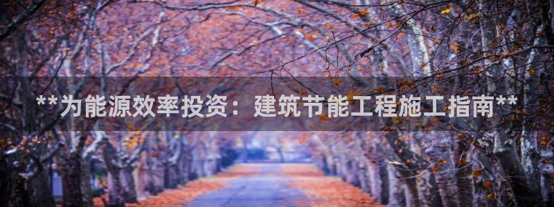e尊国际是个黑网：**为能源效率投资：建筑节能工程施工指南**