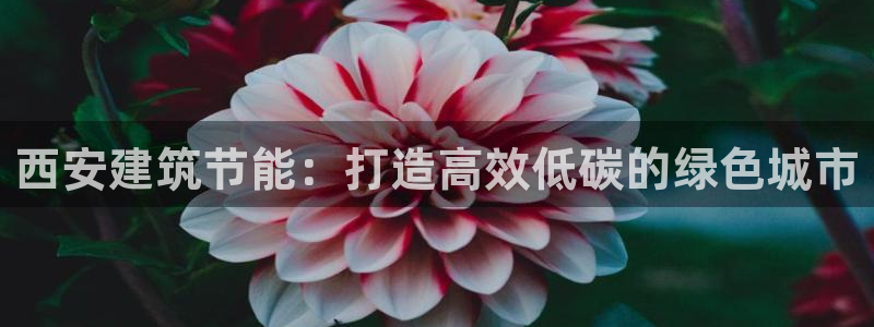 e尊国际app：西安建筑节能：打造高效低碳的绿色城市