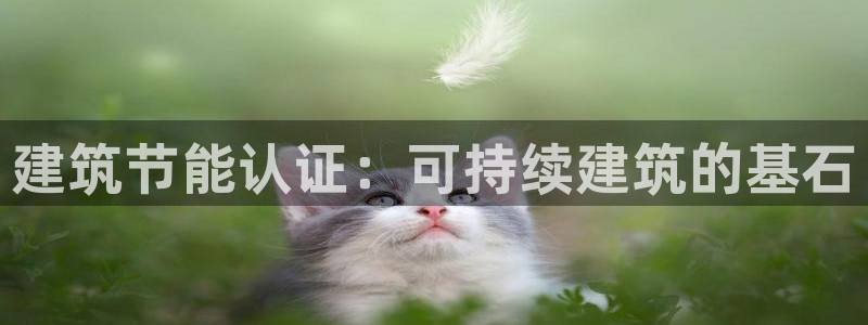e尊国际地址：建筑节能认证：可持续建筑的基石