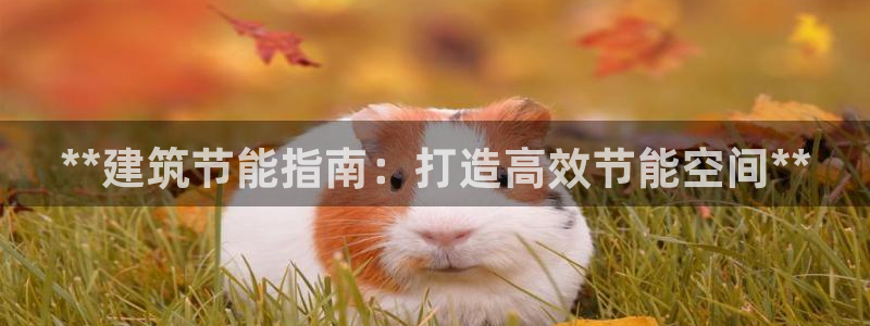E尊国际网站：**建筑节能指南：打造高效节能空间**