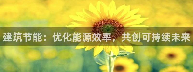 e尊国际app：建筑节能：优化能源效率，共创可持续未来