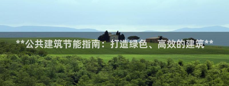 e尊国际官网·网址：**公共建筑节能指南：打造绿色、高效的建筑**