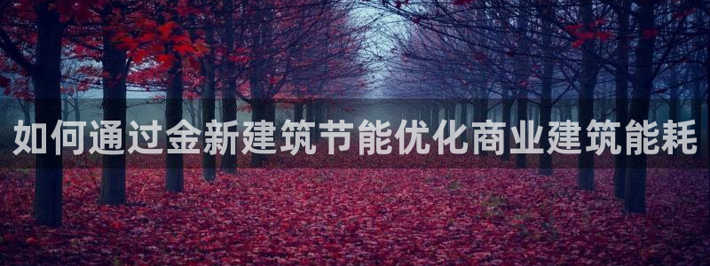 e尊平台：如何通过金新建筑节能优化商业建筑能耗
