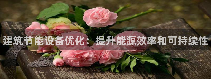 谁知道e尊国际的网址：建筑节能设备优化：提升能源效率和可持续性