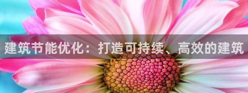 e尊国际的手机登录网站：建筑节能优化：打造可持续、高效的建筑