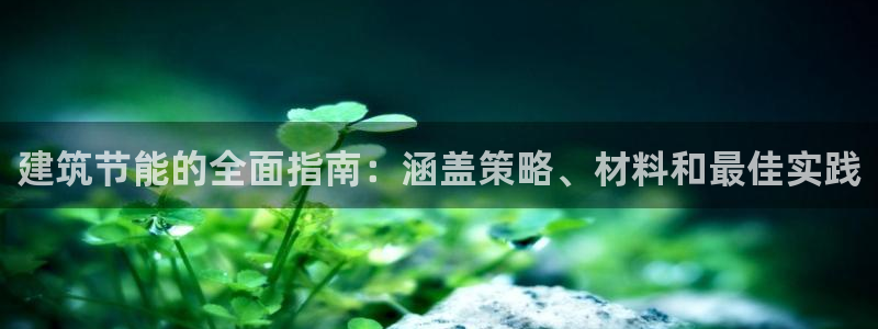 E尊国际：建筑节能的全面指南：涵盖策略、材料和最佳实践