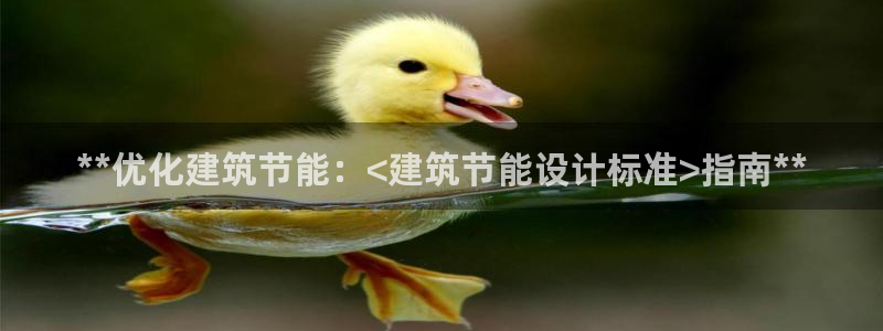 E尊国际网站：**优化建筑节能：<建筑节能设计标准>指南**