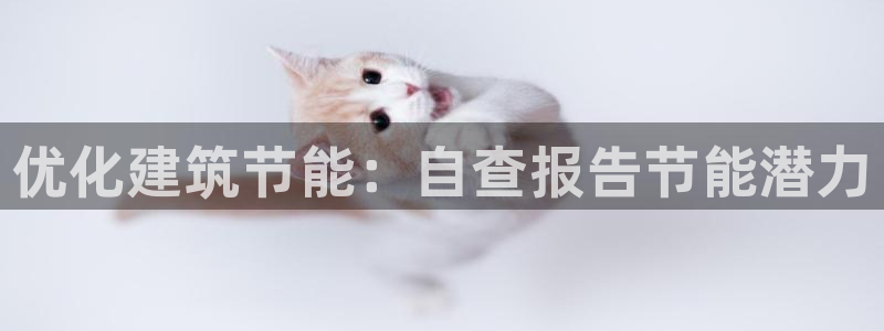 e尊国际app：优化建筑节能：自查报告节能潜力