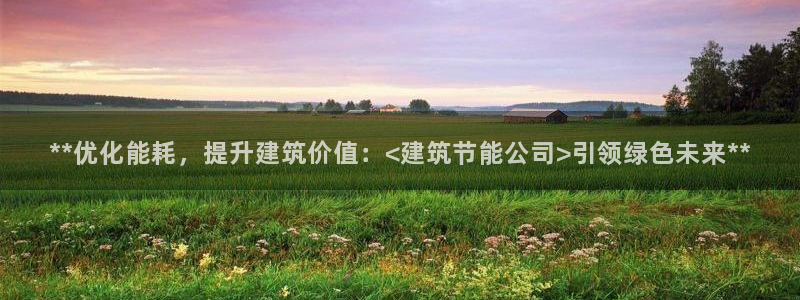 e尊国际平台：**优化能耗，提升建筑价值：<建筑节能公司>引领绿色未来**