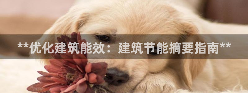尊亿娱乐国际官网：**优化建筑能效：建筑节能摘要指南**