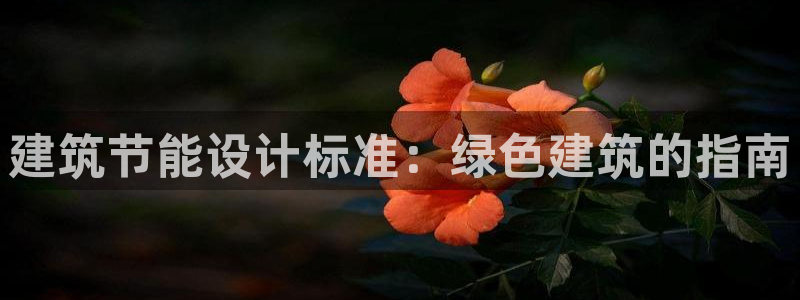 E尊国际：建筑节能设计标准：绿色建筑的指南