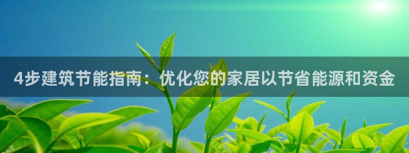 e尊国际娱乐官网地址：4步建筑节能指南：优化您的家居以节省能源和资金