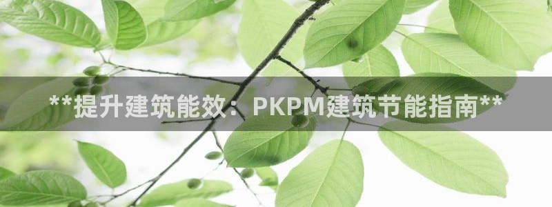 e尊国际app：**提升建筑能效：PKPM建筑节能指南**