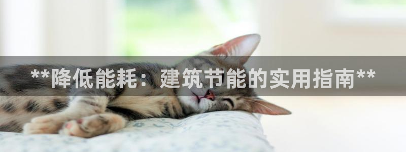 e尊电竞：**降低能耗：建筑节能的实用指南**
