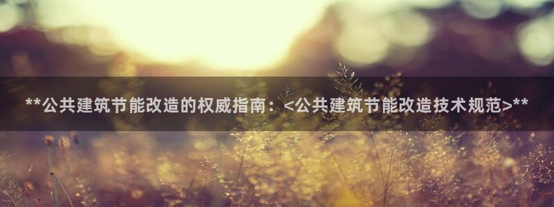 E尊国际：**公共建筑节能改造的权威指南：<公共建筑节能改造技术规范>**