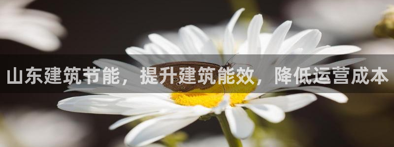 尊亿游戏国际官网：山东建筑节能，提升建筑能效，降低运营成本