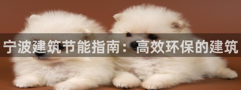 e尊国际app：宁波建筑节能指南：高效环保的建筑
