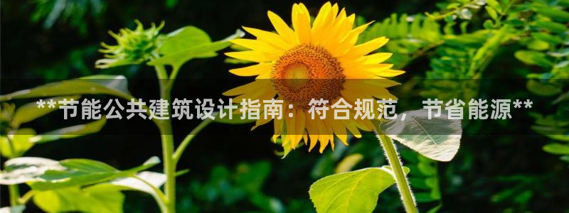 e尊平台：**节能公共建筑设计指南：符合规范，节省能源**