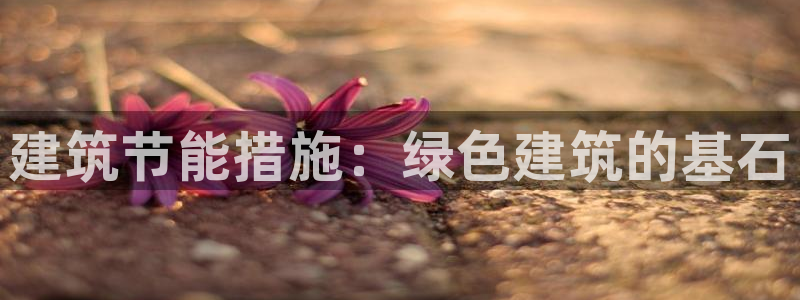 e尊国际的手机登录网站：建筑节能措施：绿色建筑的基石