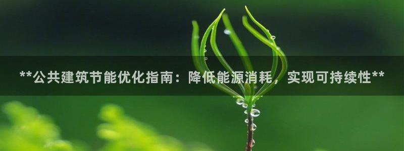 e尊国际平台：**公共建筑节能优化指南：降低能源消耗，实现可持续性**