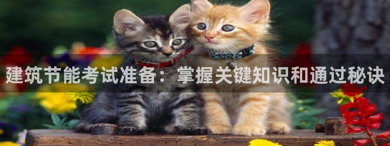 E尊国际：建筑节能考试准备：掌握关键知识和通过秘诀