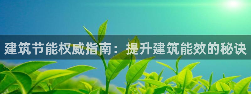 e尊体育：建筑节能权威指南：提升建筑能效的秘诀