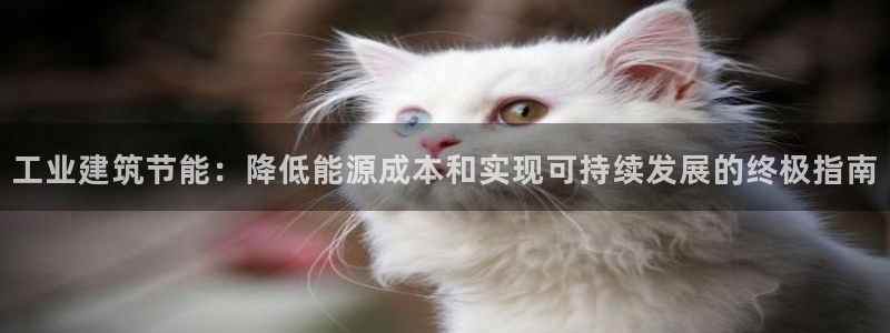 e尊国际官网：工业建筑节能：降低能源成本和实现可持续发展的终极指南