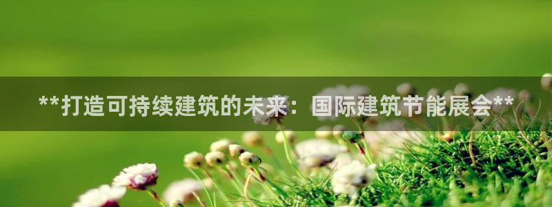 e尊国际娱乐官网地址：**打造可持续建筑的未来：国际建筑节能展会**