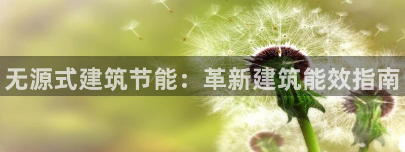 e尊国际-可可计划：无源式建筑节能：革新建筑能效指南