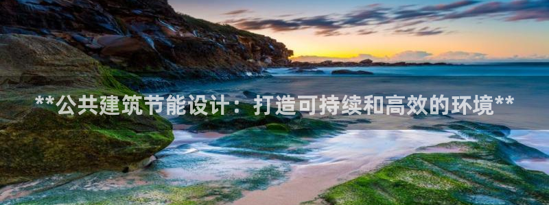 e尊国际app：**公共建筑节能设计：打造可持续和高效的环境**