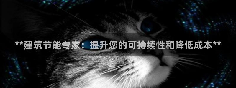 e尊国际客户端：**建筑节能专家：提升您的可持续性和降低成本**