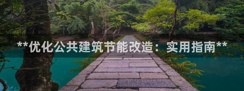 e尊国际官网：**优化公共建筑节能改造：实用指南**