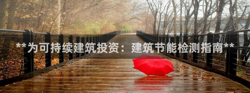 e尊电竞：**为可持续建筑投资：建筑节能检测指南**