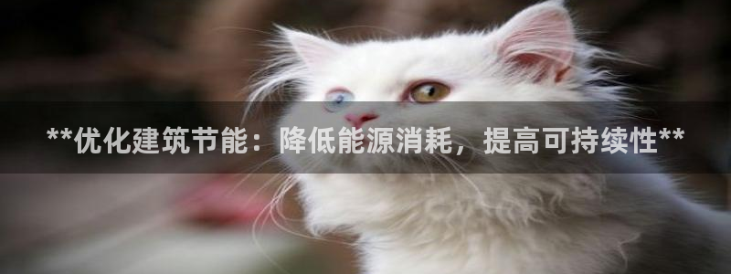 e尊国际-e尊国际官网：**优化建筑节能：降低能源消耗，提高可持续性**