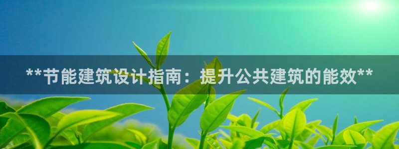 e尊国际客服：**节能建筑设计指南：提升公共建筑的能效**