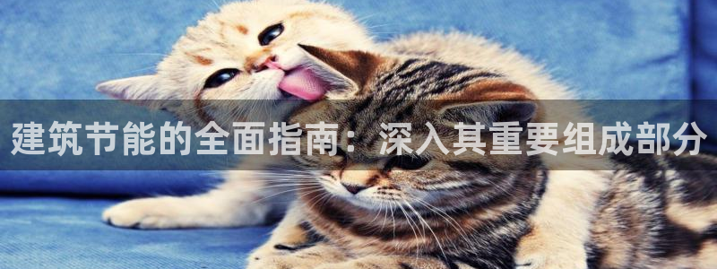 e尊国际网址：建筑节能的全面指南：深入其重要组成部分