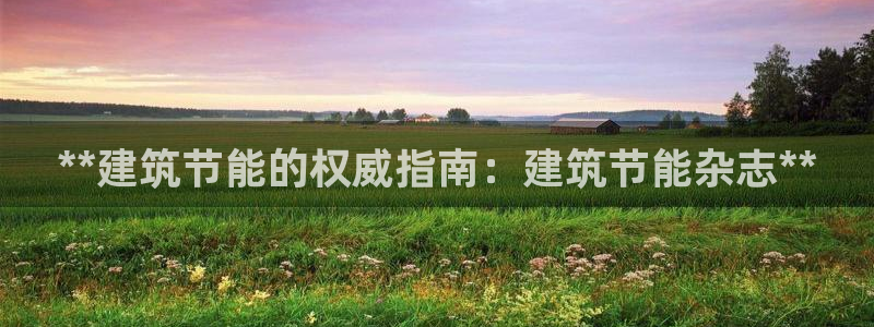 e尊国际官网：**建筑节能的权威指南：建筑节能杂志**
